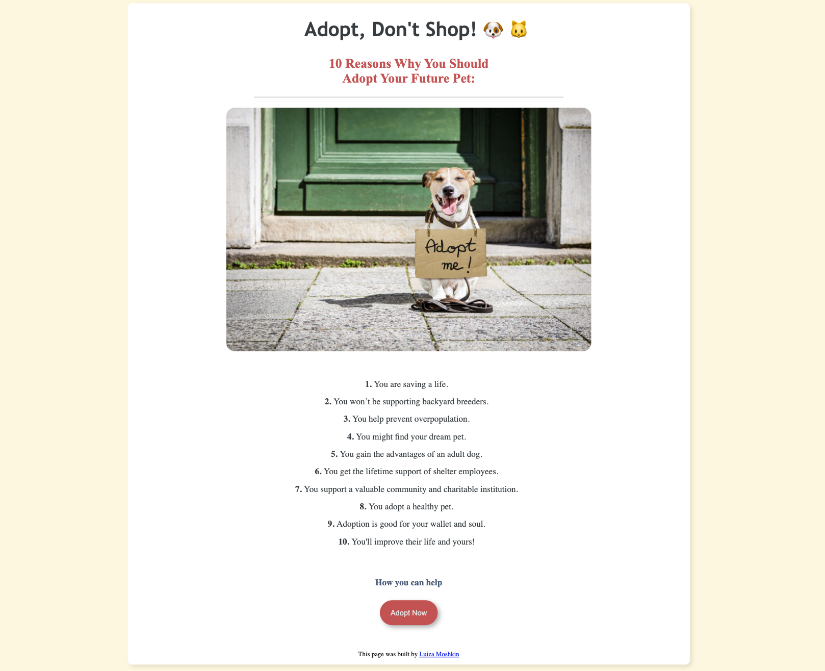 Luiza's Adopt Don't Shop Website
