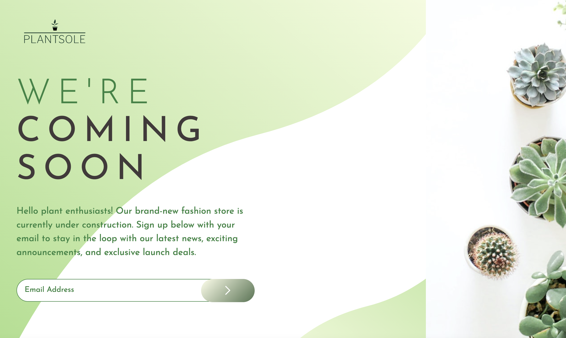 Luiza's Plant Store Website
